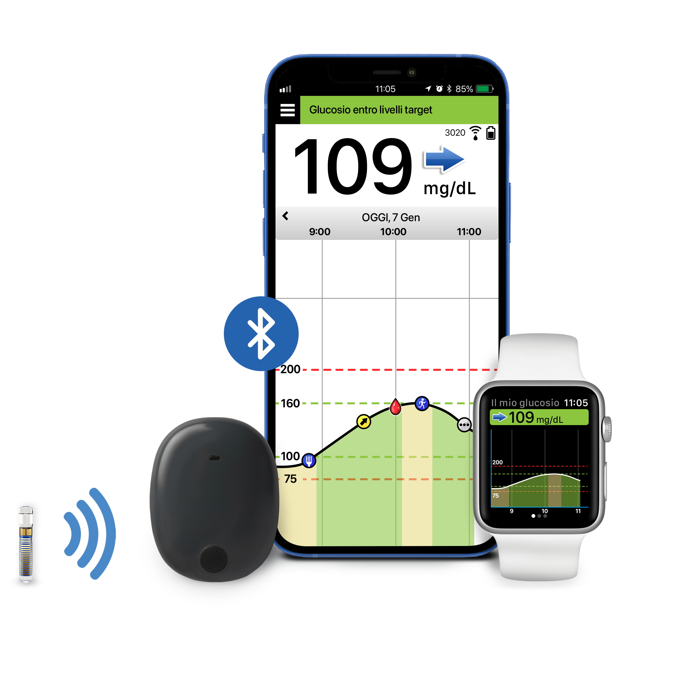 COMPONENTI DEL SISTEMA CGM EVERSENSE