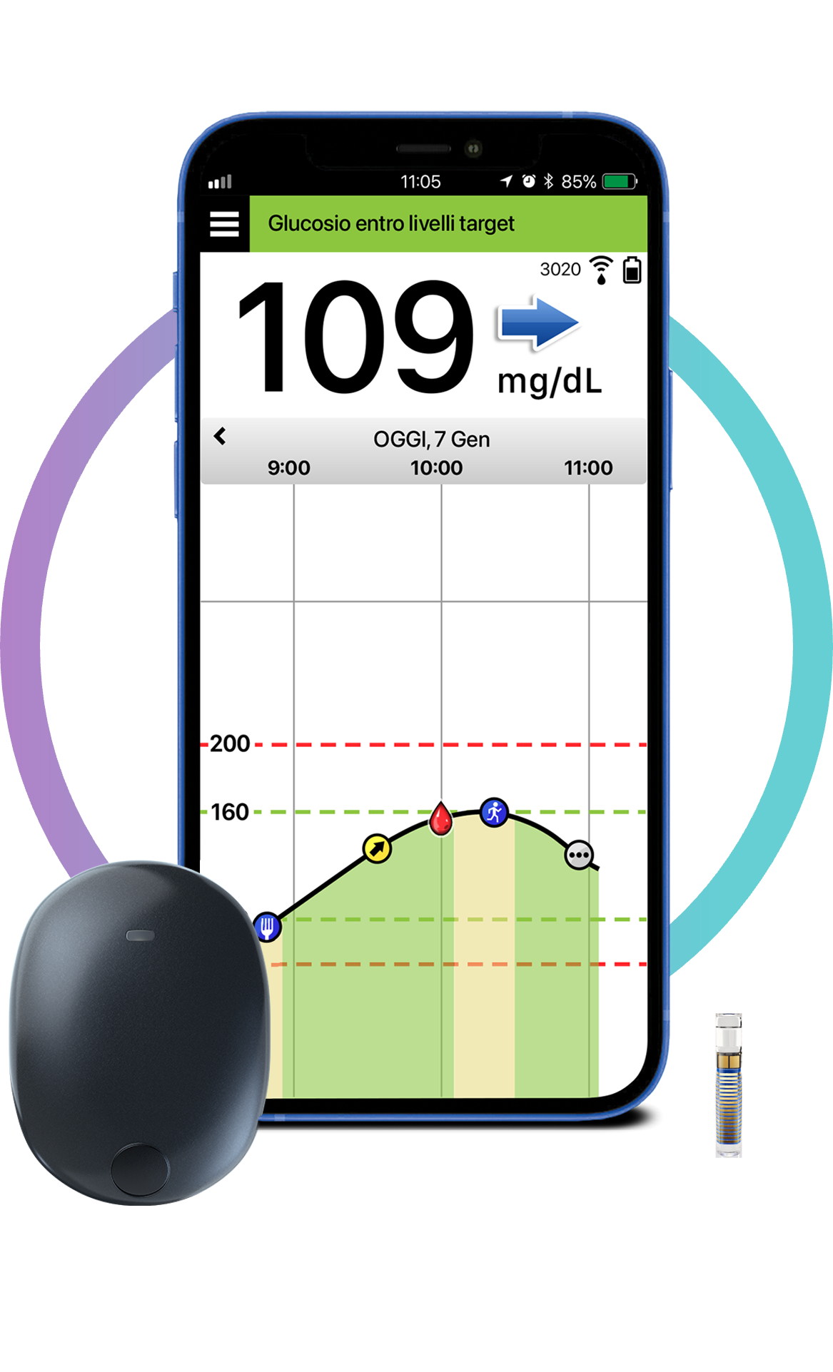 COMPONENTI DEL SISTEMA CGM EVERSENSE